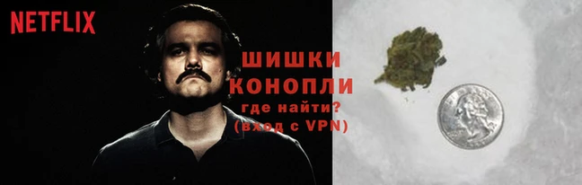 трава Пересвет