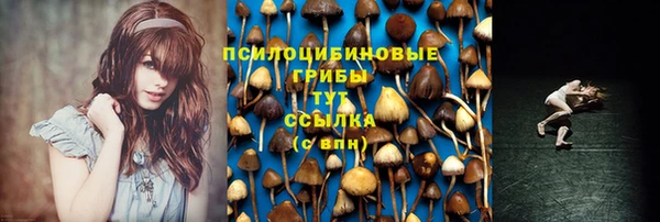 соль ск Переславль-Залесский