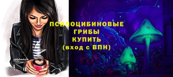 дмт Аркадак